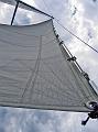 wavemagic_sailing22
